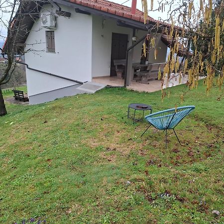 Vineyard Cottage Klemencic Ново Место Екстер'єр фото