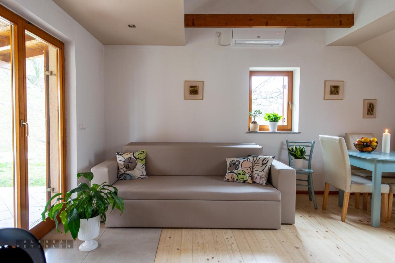 Vineyard Cottage Klemencic Ново Место Екстер'єр фото