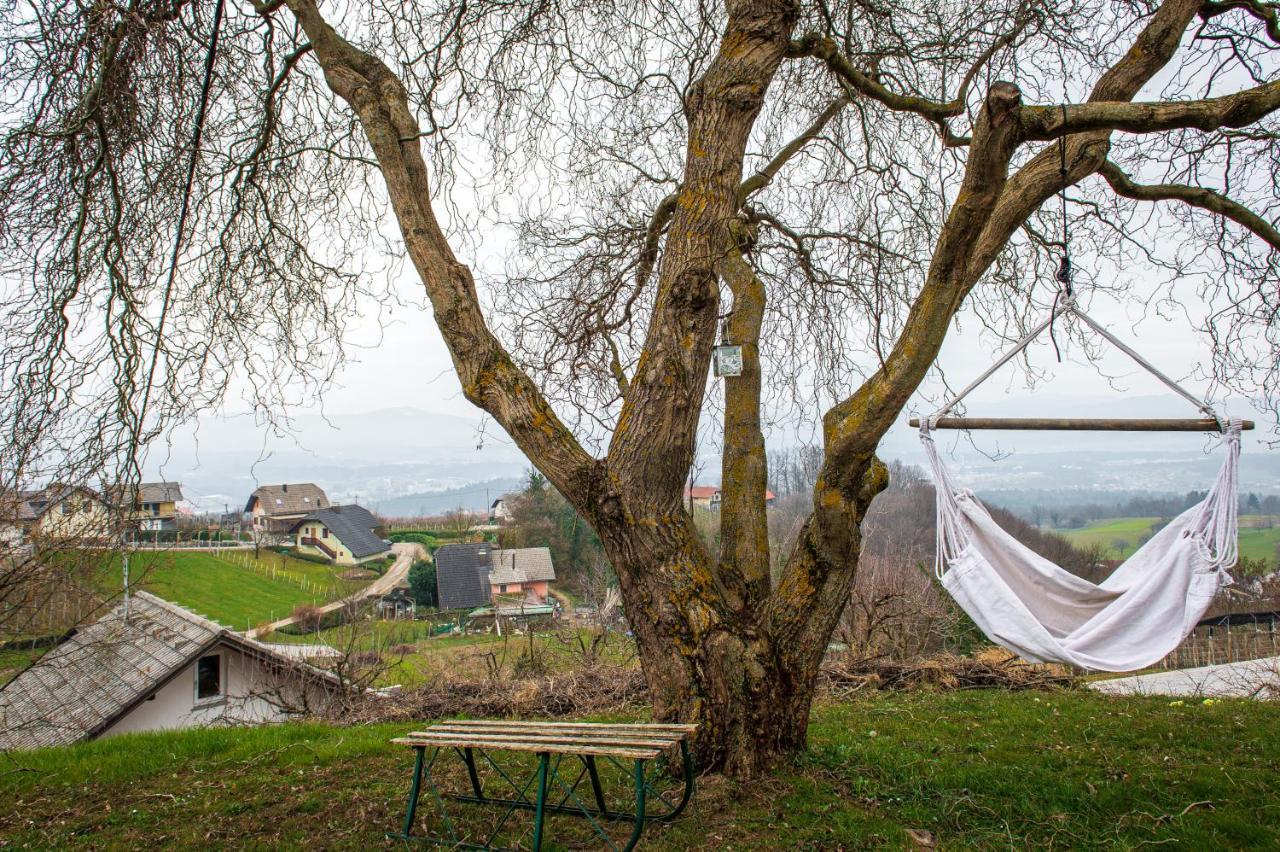 Vineyard Cottage Klemencic Ново Место Екстер'єр фото