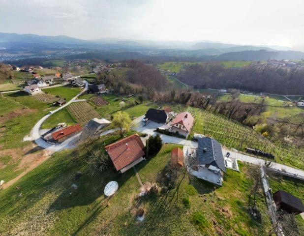 Vineyard Cottage Klemencic Ново Место Екстер'єр фото