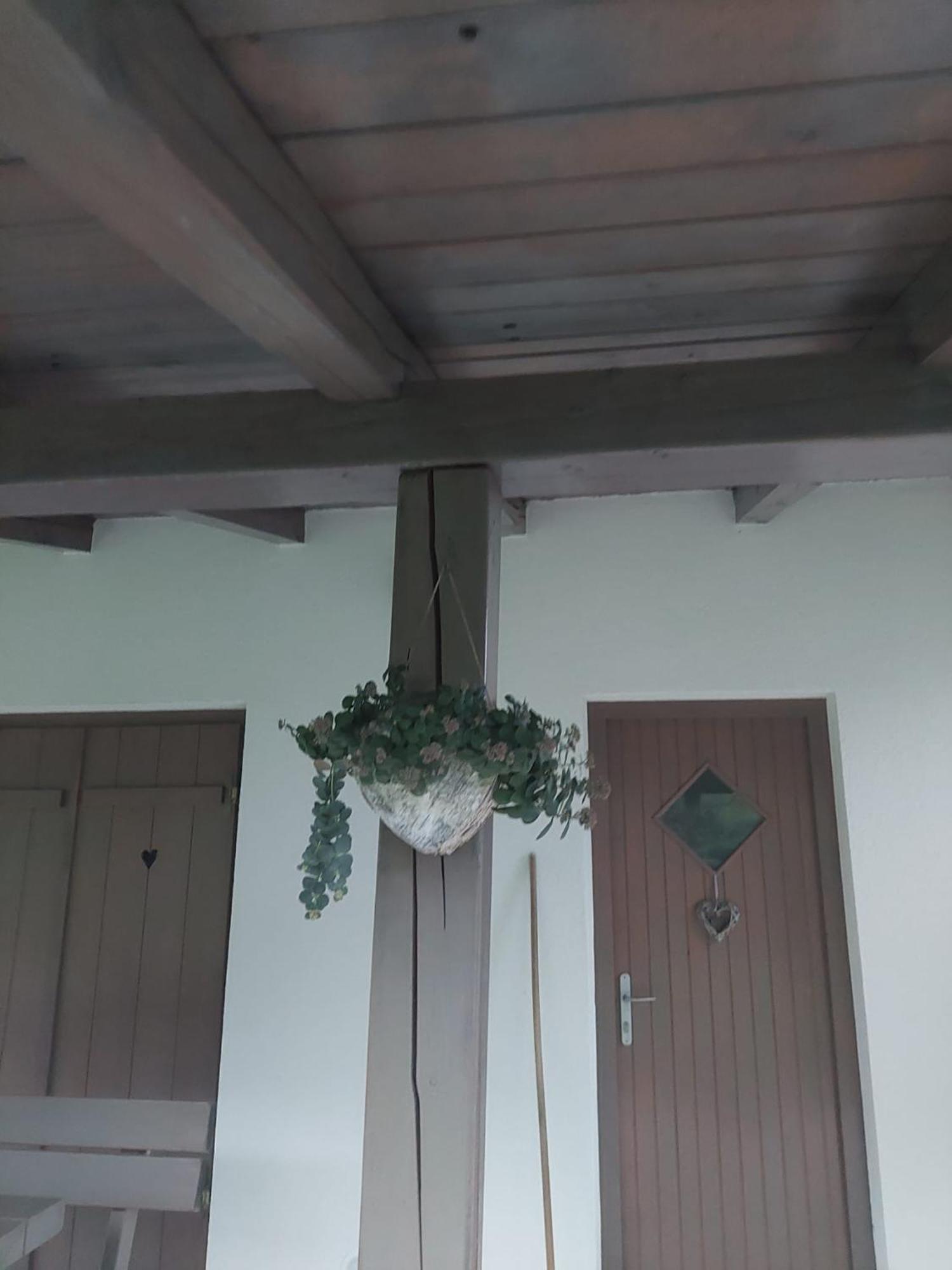 Vineyard Cottage Klemencic Ново Место Екстер'єр фото