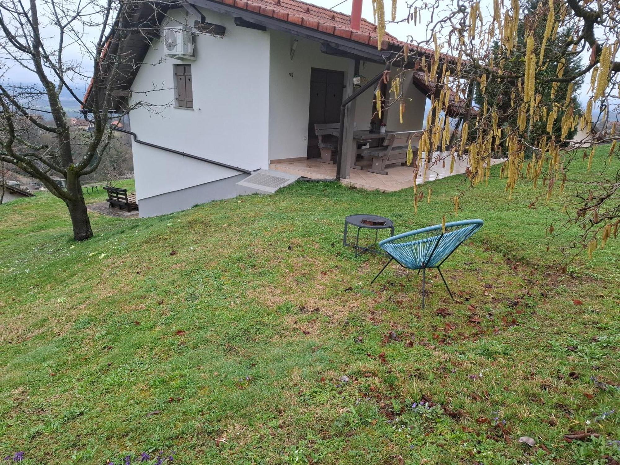 Vineyard Cottage Klemencic Ново Место Екстер'єр фото