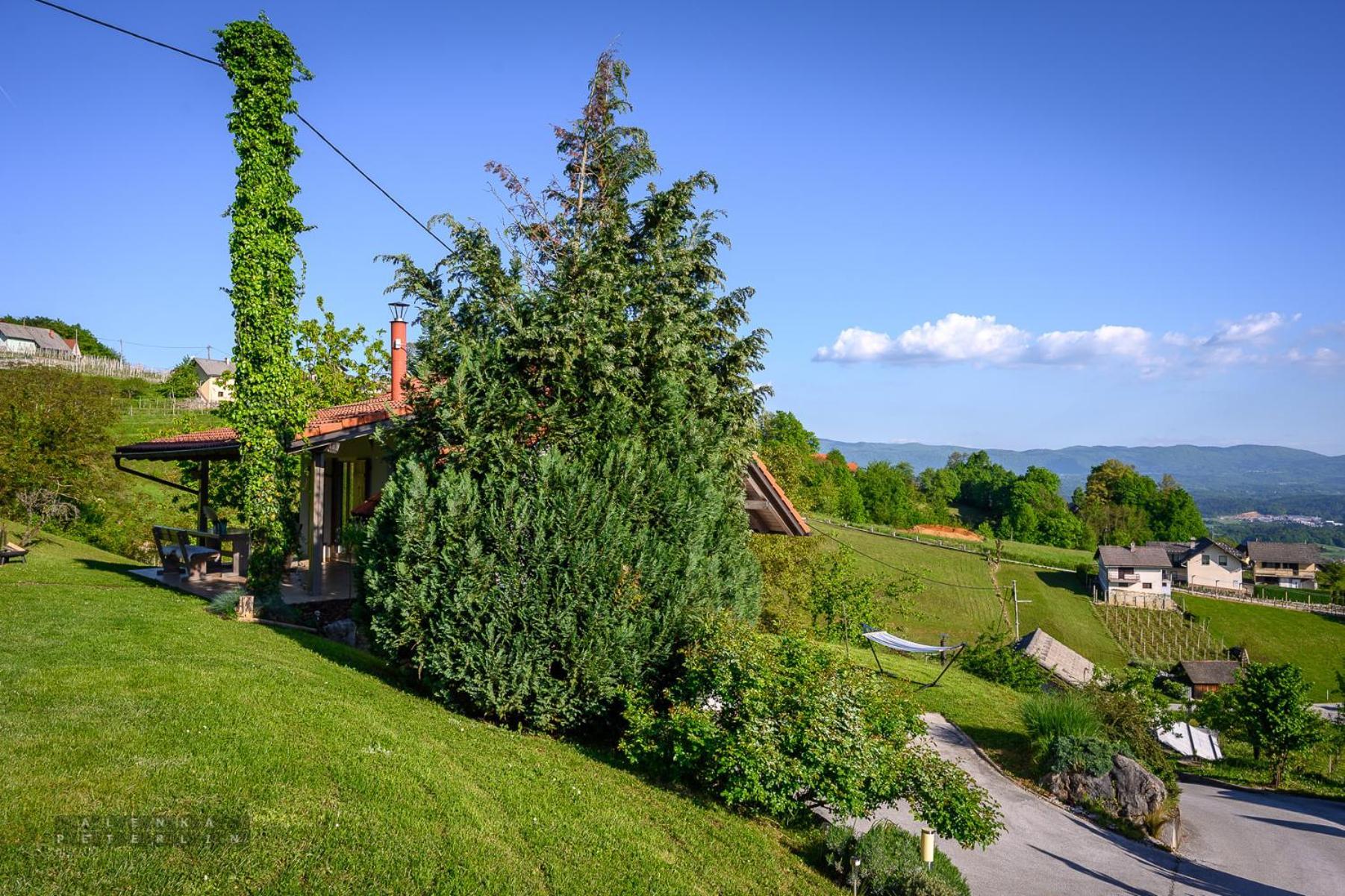 Vineyard Cottage Klemencic Ново Место Екстер'єр фото