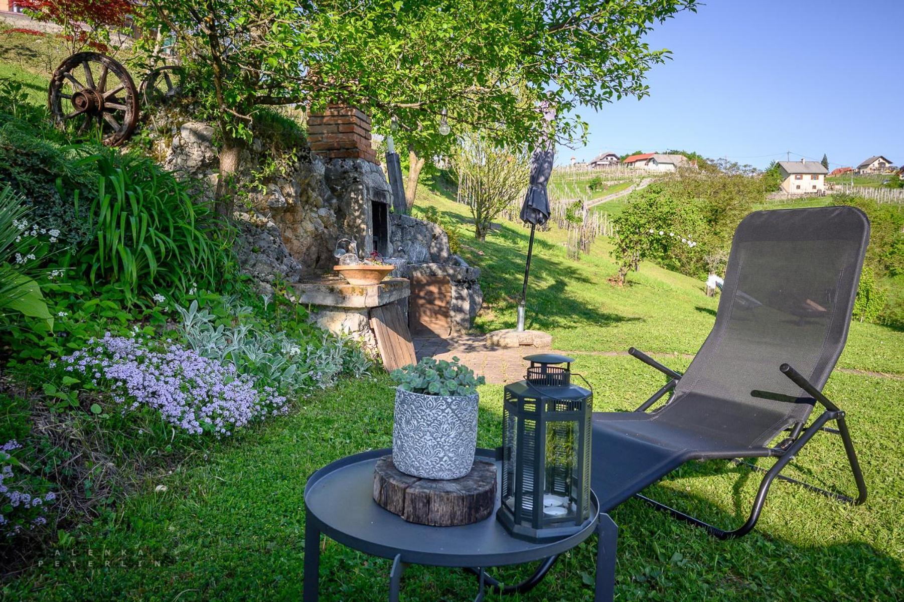 Vineyard Cottage Klemencic Ново Место Екстер'єр фото