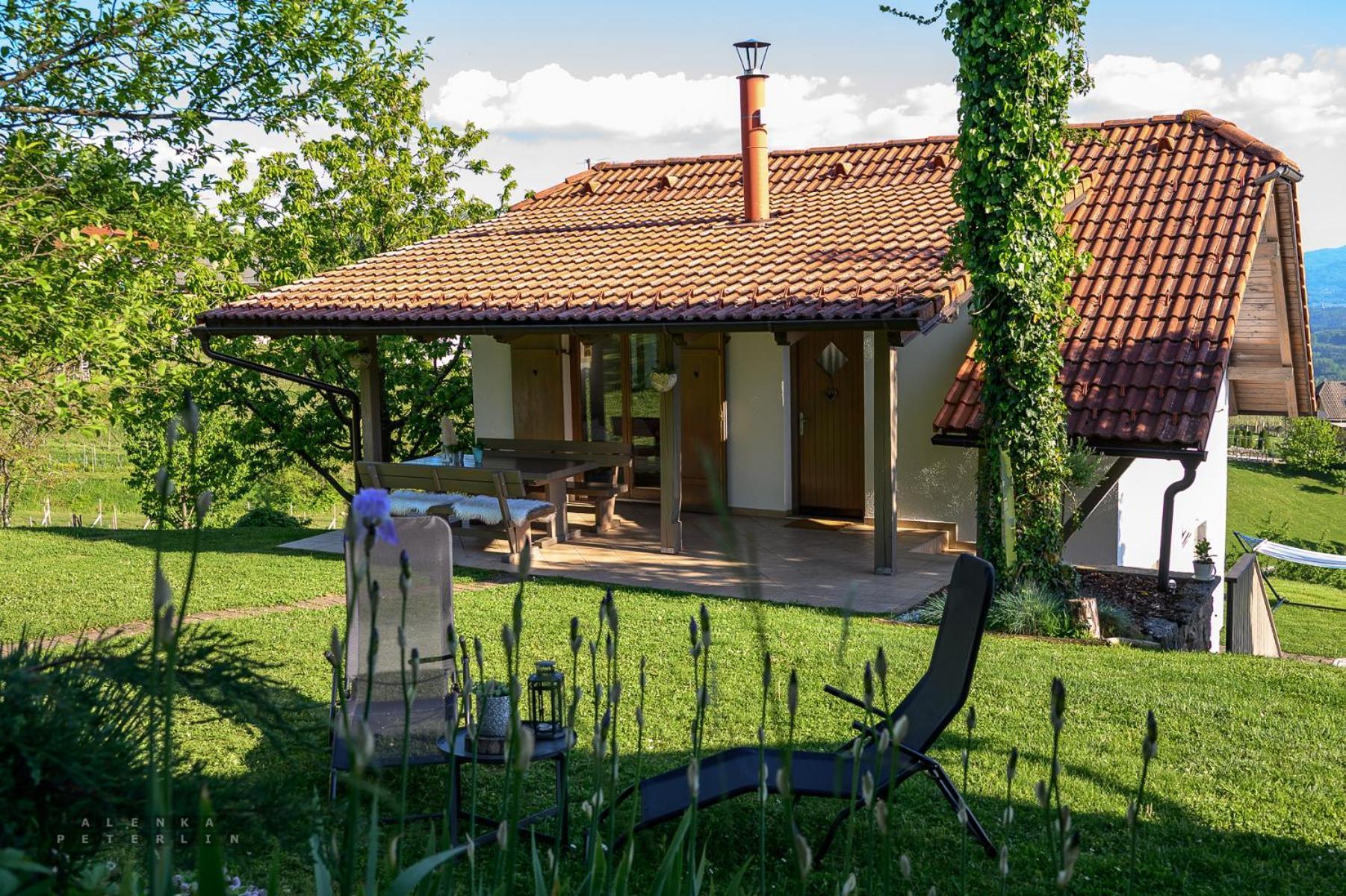 Vineyard Cottage Klemencic Ново Место Екстер'єр фото